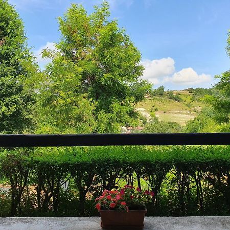 Agriturismo Il Burlino Apartments Lerma Екстер'єр фото