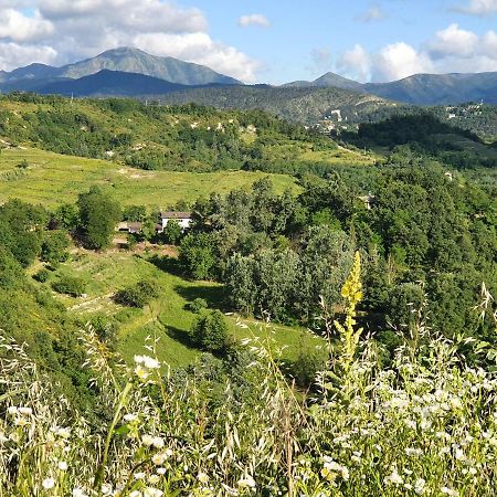 Agriturismo Il Burlino Apartments Lerma Екстер'єр фото