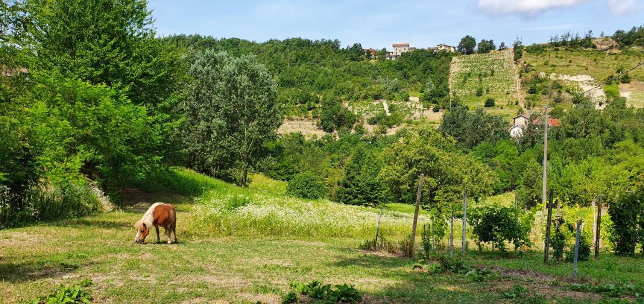 Agriturismo Il Burlino Apartments Lerma Екстер'єр фото